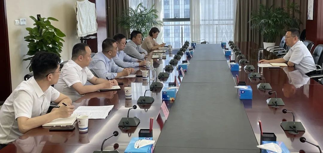 公司黨委書記、董事長杜巖岫帶隊赴合肥考察學習